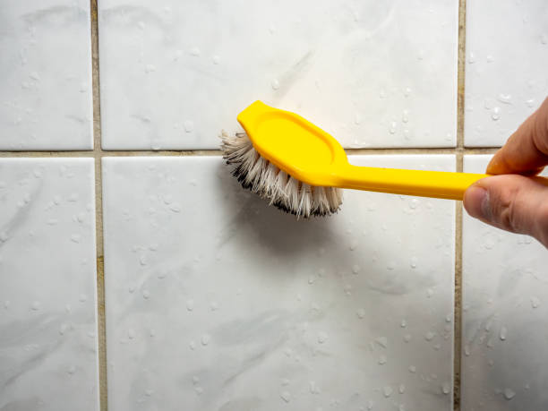 Best Commercial Mold Removal  in Harrisonville, MO