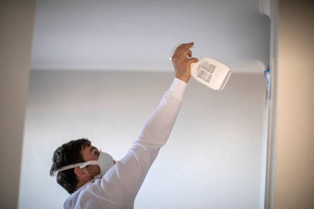 Best Local Mold Removal Service  in Harrisonville, MO