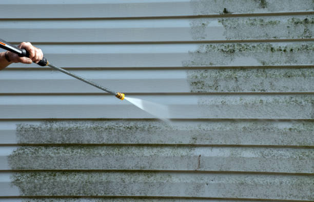 Best Professional Mold Removal  in Harrisonville, MO