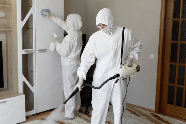 Best Toxic Mold Removal  in Harrisonville, MO
